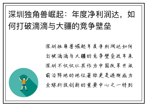 深圳独角兽崛起：年度净利润达，如何打破滴滴与大疆的竞争壁垒